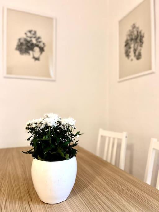 Elegante Appartamento In Centro ميلان المظهر الخارجي الصورة